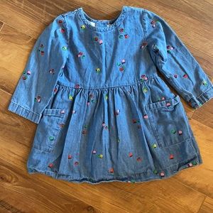 Hanna Andersson denim dress